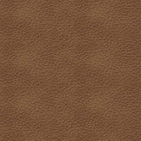Bolsena - Queen Sofa Sleeper - Caramel