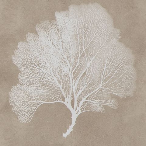 Hendridge - Wall Art Set (Set of 3) - Taupe / White